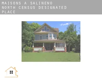 Maisons à  Salineno North