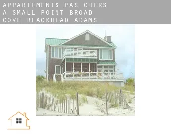 Appartements pas chers à  Small Point-Broad Cove-Blackhead-Adams Cove