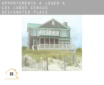 Appartements à louer à  Los Lobos