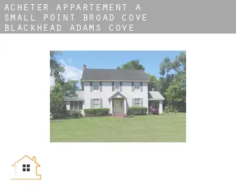 Acheter appartement à  Small Point-Broad Cove-Blackhead-Adams Cove