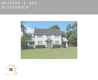 Maisons à  Groß Bliersbach