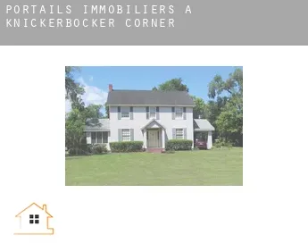 Portails immobiliers à  Knickerbocker Corner
