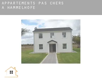 Appartements pas chers à  Hammelhöfe