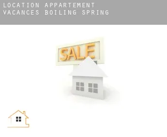Location appartement vacances  Boiling Spring