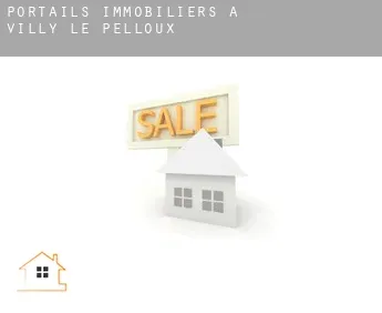 Portails immobiliers à  Villy-le-Pelloux