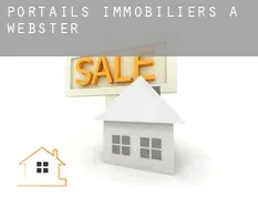 Portails immobiliers à Webster