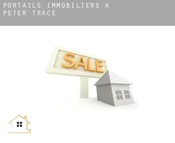 Portails immobiliers à  Peter Trace