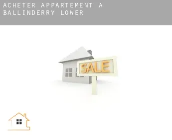 Acheter appartement à  Ballinderry Lower