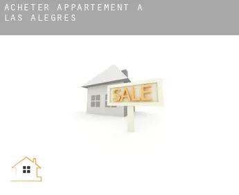 Acheter appartement à  Las Alegres