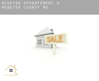 Acheter appartement à  Webster