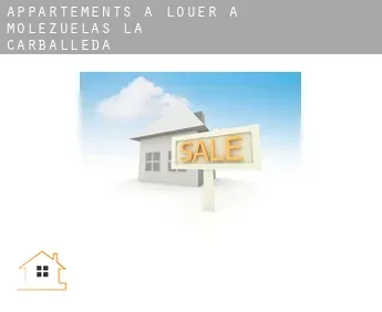 Appartements à louer à  Molezuelas de la Carballeda