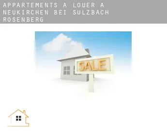 Appartements à louer à  Neukirchen bei Sulzbach-Rosenberg