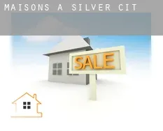 Maisons à Silver City