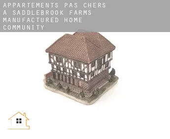 Appartements pas chers à  Saddlebrook Farms Manufactured Home Community