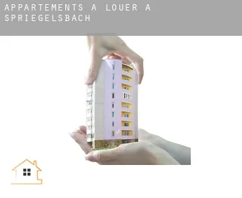 Appartements à louer à  Spriegelsbach