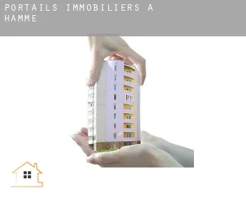 Portails immobiliers à  Hamme