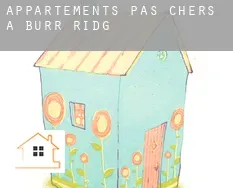 Appartements pas chers à Burr Ridge