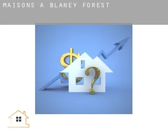 Maisons à  Blaney Forest