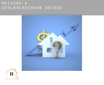 Maisons à  Coolnacreehaun Bridge