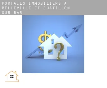 Portails immobiliers à  Belleville-et-Châtillon-sur-Bar
