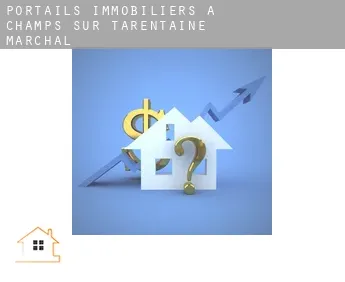 Portails immobiliers à  Champs-sur-Tarentaine-Marchal