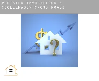 Portails immobiliers à  Cooleenagow Cross Roads