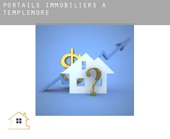 Portails immobiliers à Templemore