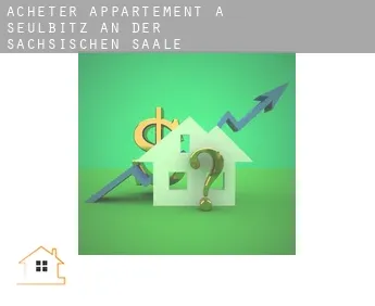 Acheter appartement à  Seulbitz an der Sächsischen Saale