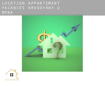 Location appartement vacances  Hrušovany u Brna