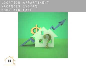 Location appartement vacances  Indian Mountain Lake