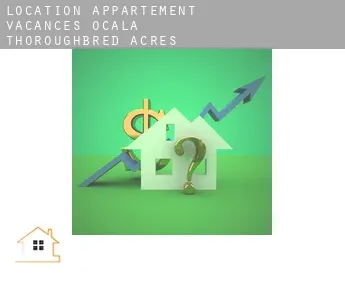 Location appartement vacances  Ocala Thoroughbred Acres