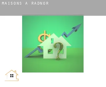 Maisons à  Radnor