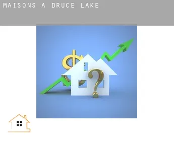 Maisons à  Druce Lake