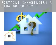 Portails immobiliers à Hidalgo