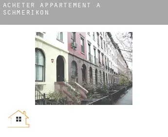 Acheter appartement à  Schmerikon