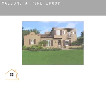 Maisons à Pine Brook