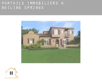 Portails immobiliers à  Boiling Springs