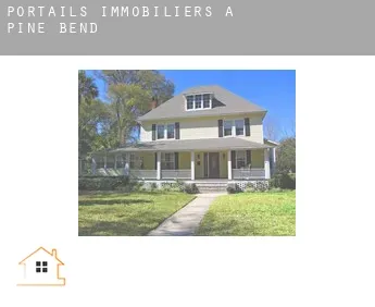 Portails immobiliers à  Pine Bend