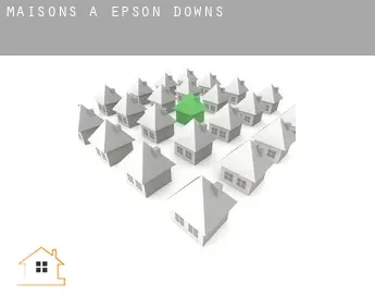Maisons à  Epson Downs