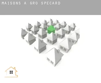 Maisons à  Groß Specard