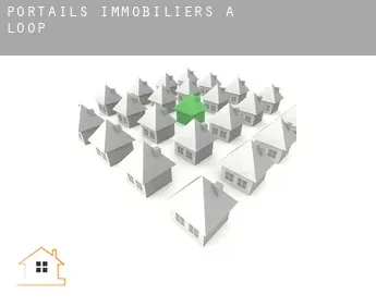 Portails immobiliers à Loop