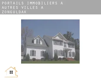 Portails immobiliers à  Autres Villes à Zonguldak