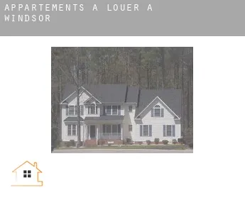 Appartements à louer à  Windsor