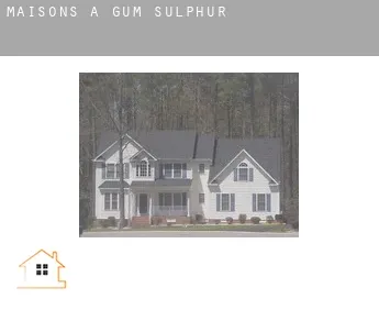 Maisons à  Gum Sulphur