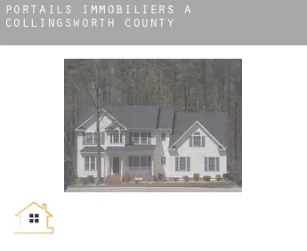 Portails immobiliers à  Collingsworth