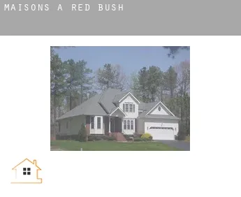 Maisons à  Red Bush