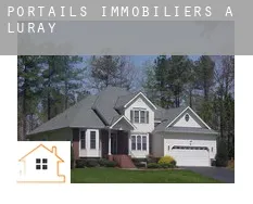 Portails immobiliers à Luray