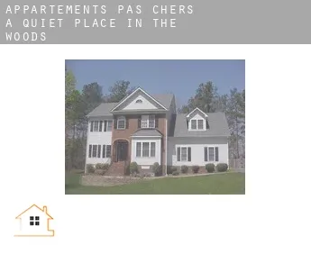 Appartements pas chers à  Quiet Place in the Woods
