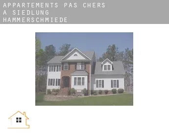 Appartements pas chers à  Siedlung Hammerschmiede