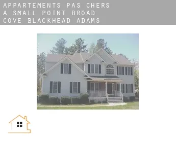 Appartements pas chers à Small Point-Broad Cove-Blackhead-Adams Cove